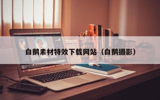 浙江白鹅素材特效下载网站（白鹅摄影）